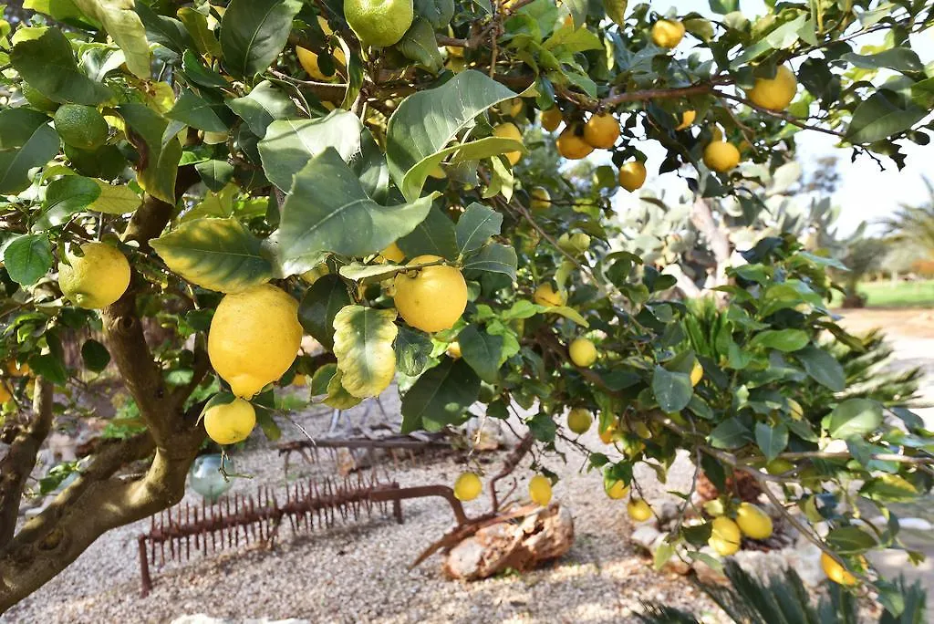 Сasa de vacaciones Finca Hort De Sa Barrala Ses Covetes